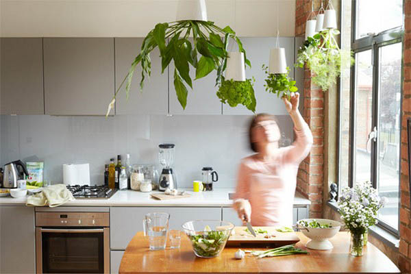 Healthy Living Decorate Your Home With Plants Laura Cole